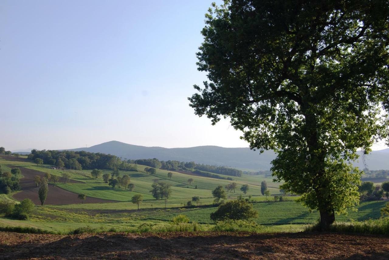Bilocale Verde Umbria Montecastrilli Esterno foto