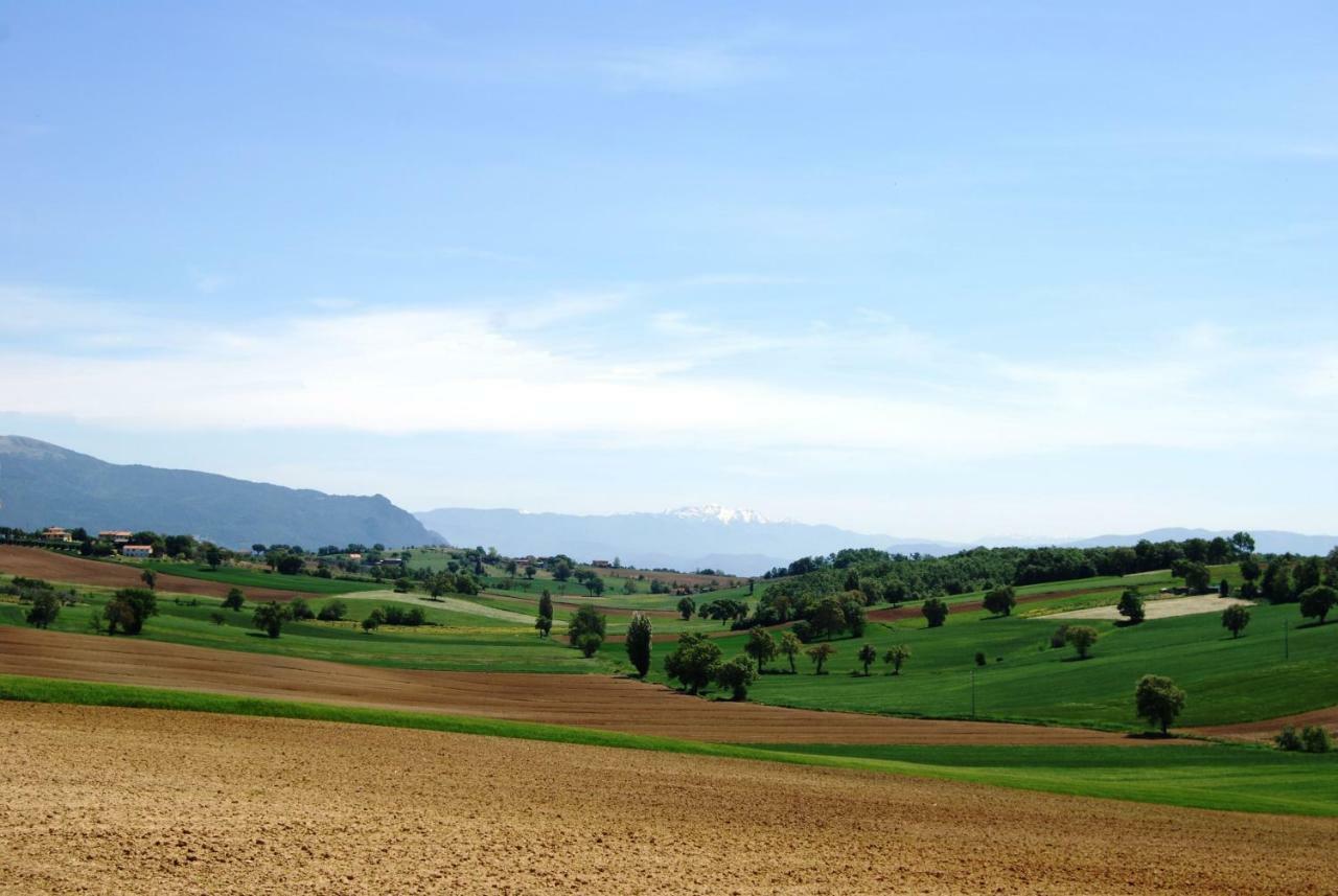 Bilocale Verde Umbria Montecastrilli Esterno foto