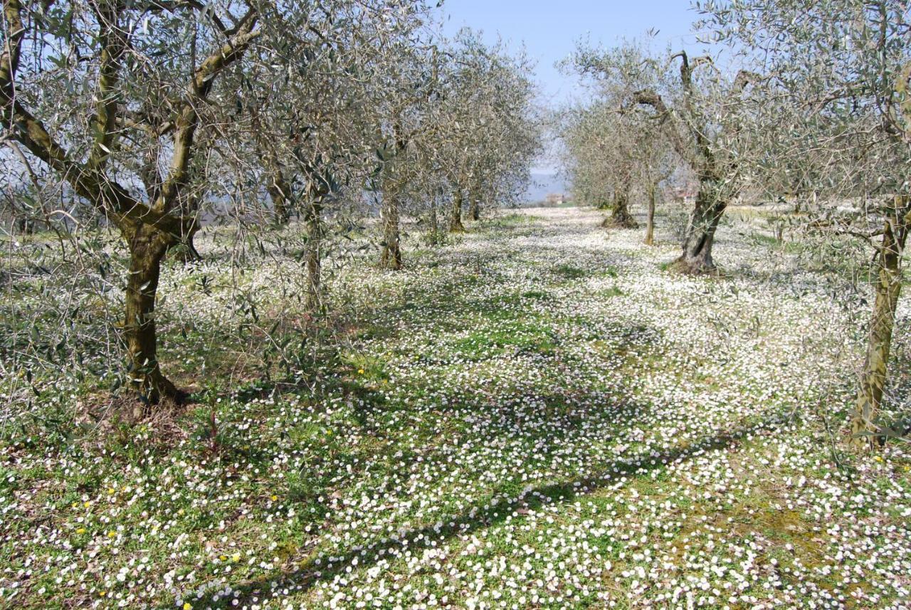 Bilocale Verde Umbria Montecastrilli Esterno foto