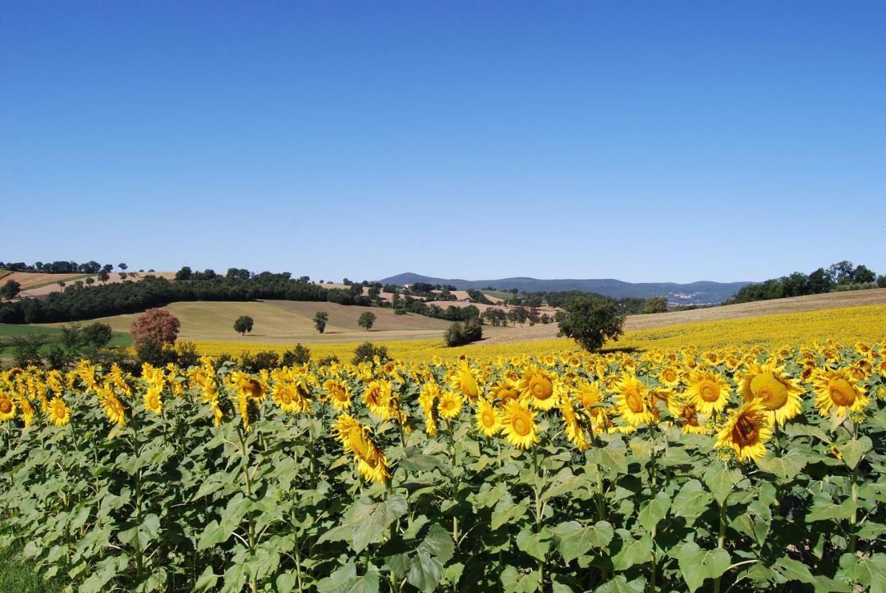 Bilocale Verde Umbria Montecastrilli Esterno foto